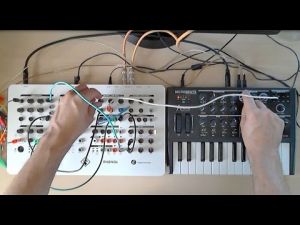 Embedded thumbnail for MicroBrute and PHENOL Analog Synthesizers